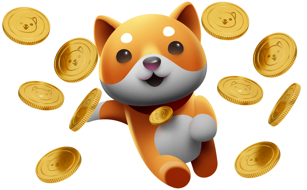 Everything You Need to Know When Investing in Baby Doge Coin